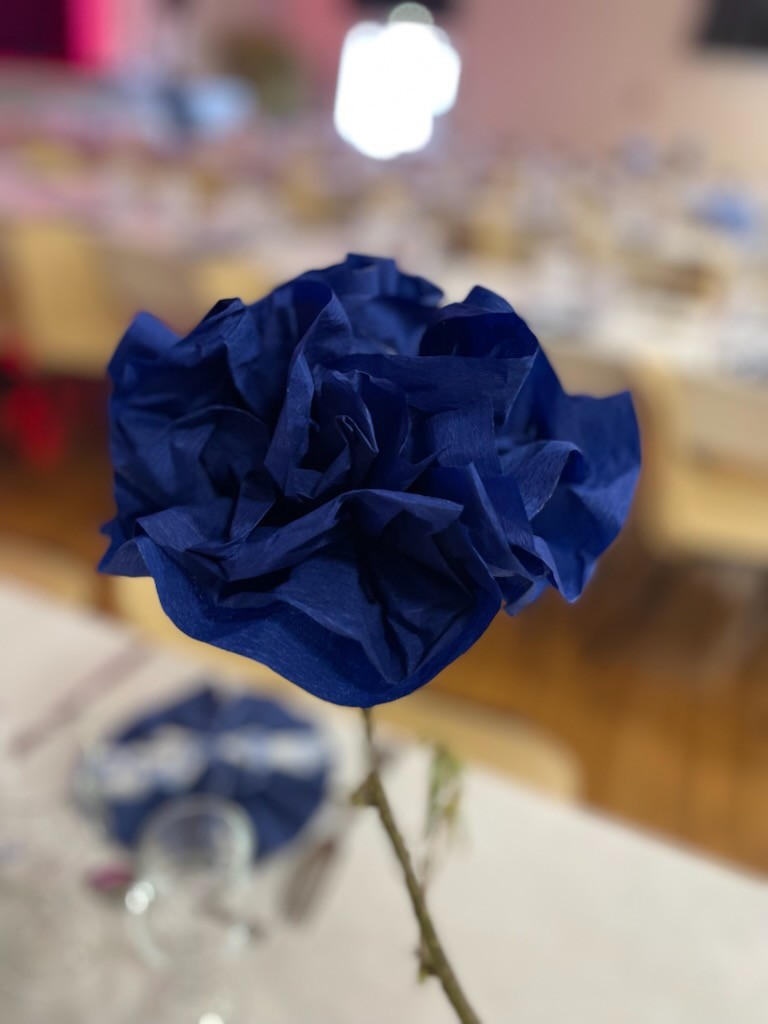 IMG 73491